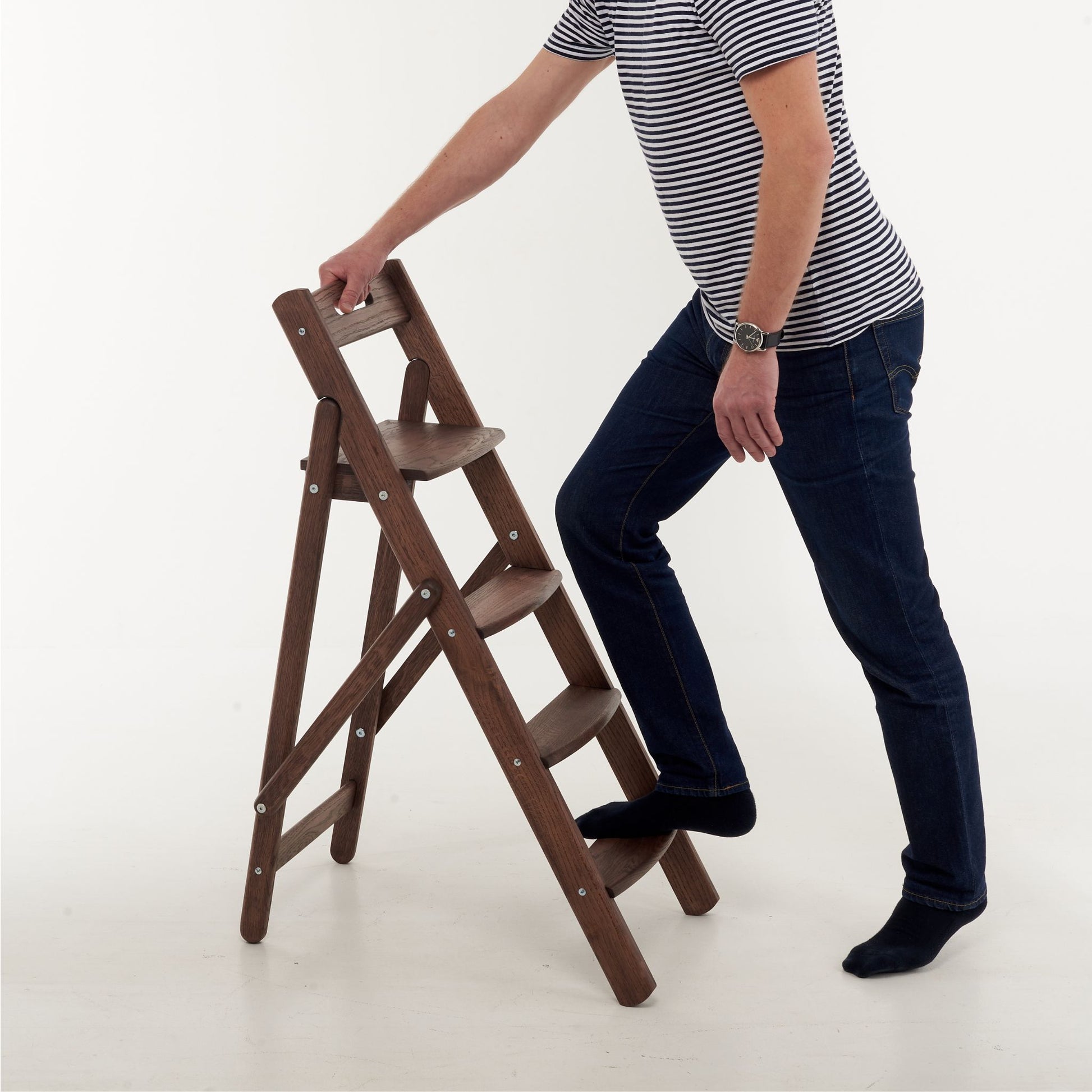 sturdy ladder